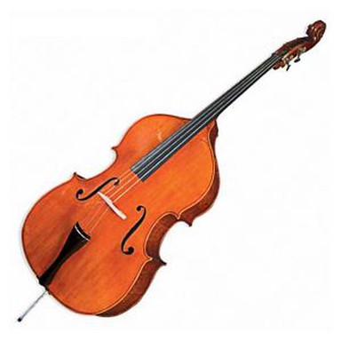 Double Bass