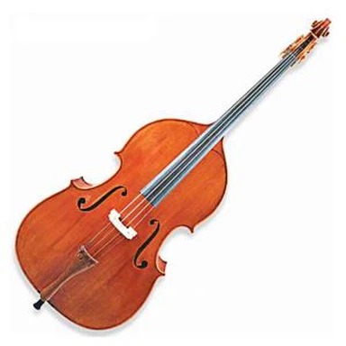 Double bass personalizzat